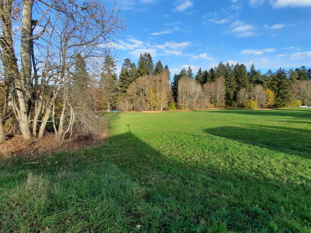 Ferienhaus Ketterer Hinterzarten Kültér fotó